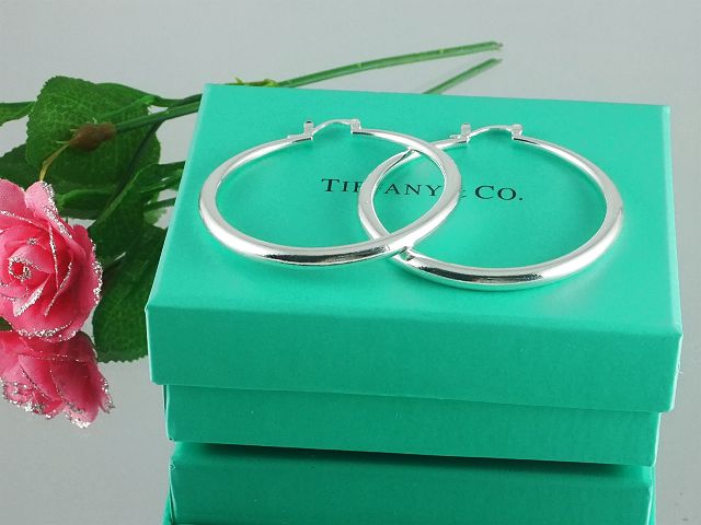 tiffany Earrings-103